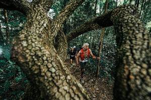 BIB: 
                            <button type="button" onclick="openModal(25392648)" class="btn btn-primary btn-sm float-right btn-popup" data-toggle="modal" data-target=".modal-high-quality">
                        <i class="fas fa-shopping-cart"></i> Add to Cart
                    </button>
                                            <button type="button" onclick="isThisMe(25392648, true)" class="btn btn-success btn-sm float-right btn-popup btn-isme hidden" data-toggle="tooltip" data-placement="bottom" title="นี่คือรูปของคุณใช่ไหม คลิกที่นี่เพื่อเอาเข้าอัลบั้ม">
                        <i class="fas fa-plus"></i> Add to album
                    </button>
                    <button type="button" onclick="isThisMe(25392648, false)" class="btn btn-warning btn-sm float-right btn-popup btn-isnotme hidden">
                        <i class="fas fa-ban"></i> Remove from album
                    </button>